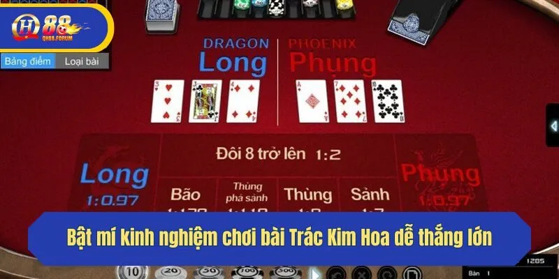 Bật mí kinh nghiệm chơi bài Trác Kim Hoa dễ thắng lớn